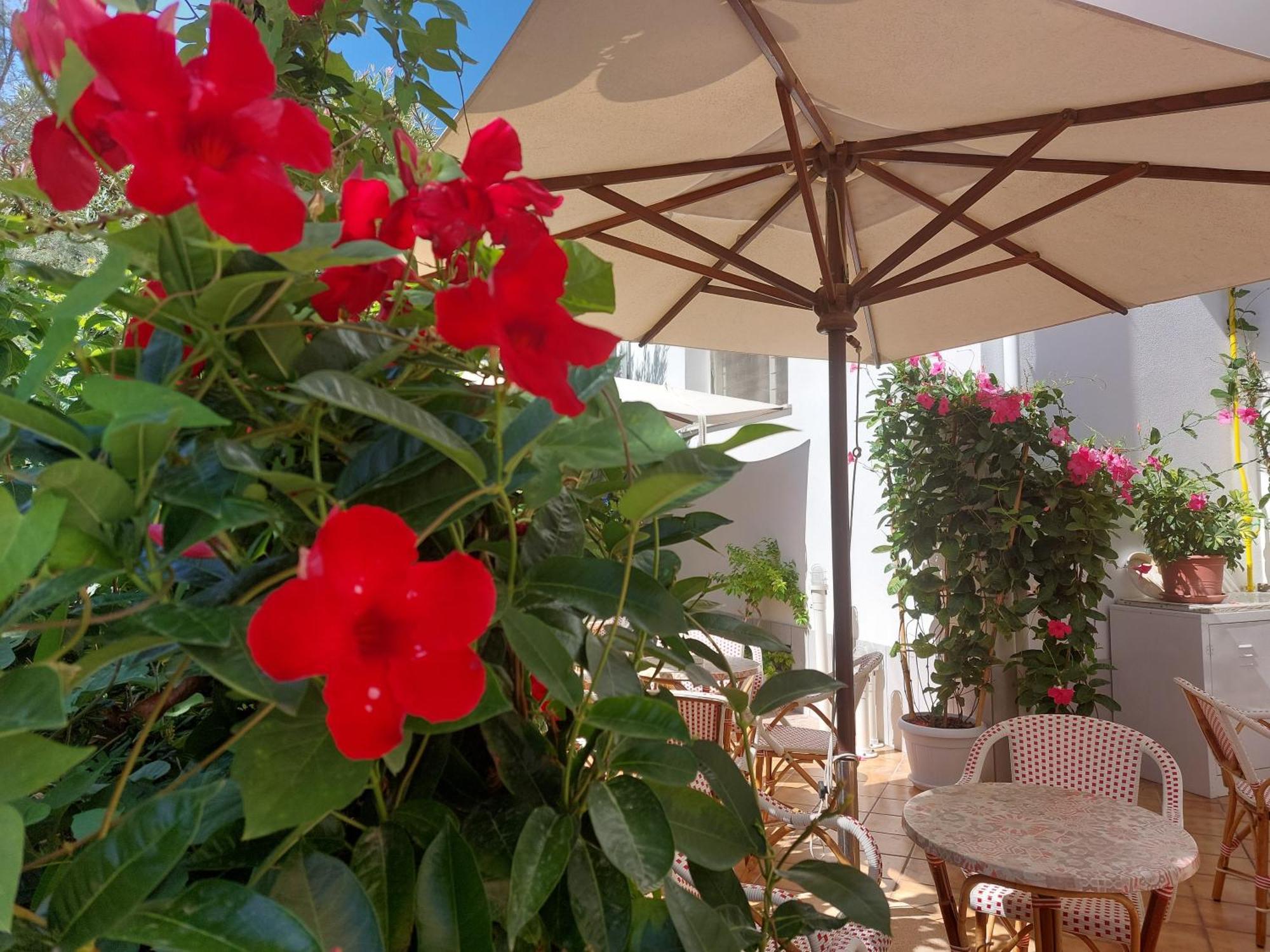 Hotel Driade Sul Mare Римини Экстерьер фото